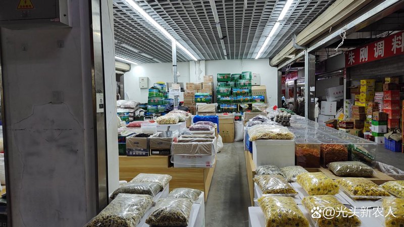 箱包一件代发新趋势：电商市场如何布局？